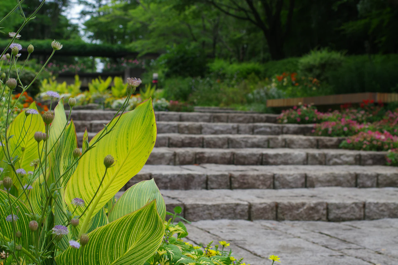 Jardinería Mallorquina Pujol   Diseño web y Sesión fotográfica — Webdesign