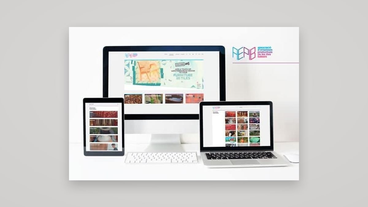 Aepib — Diseño web