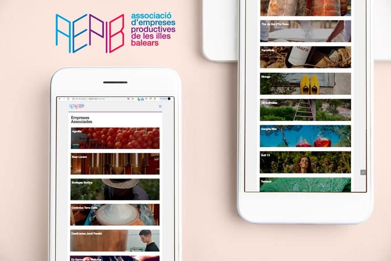 Aepib — Diseño web (2)