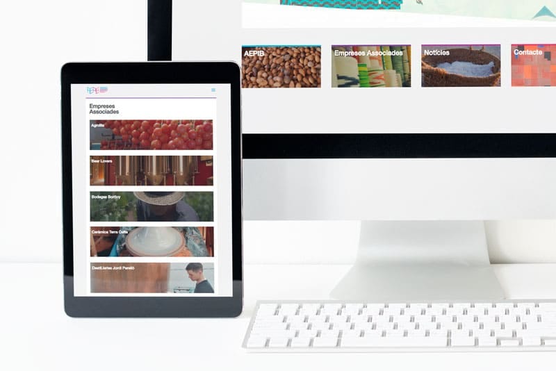 Aepib — Diseño web (3)
