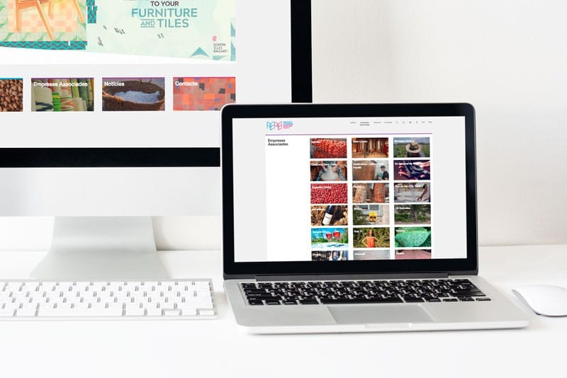 Aepib — Diseño web (4)