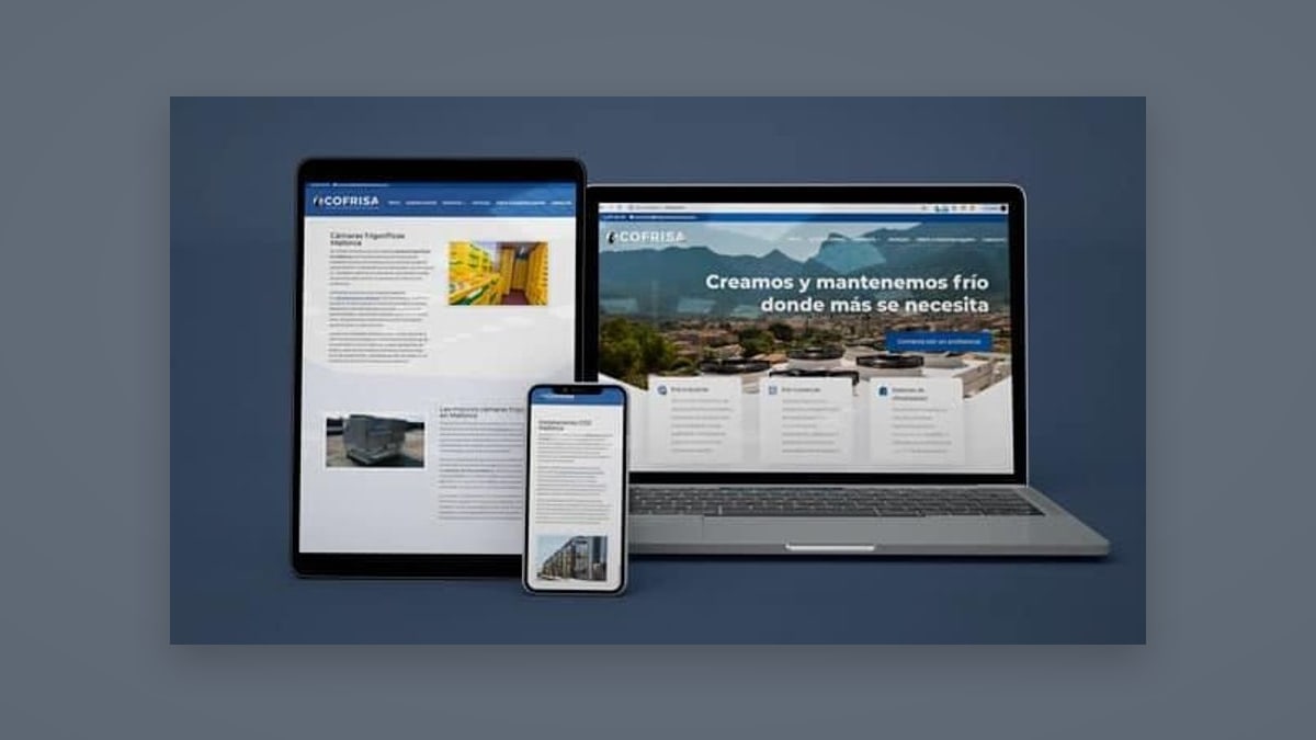 Cofrisa — Diseño web