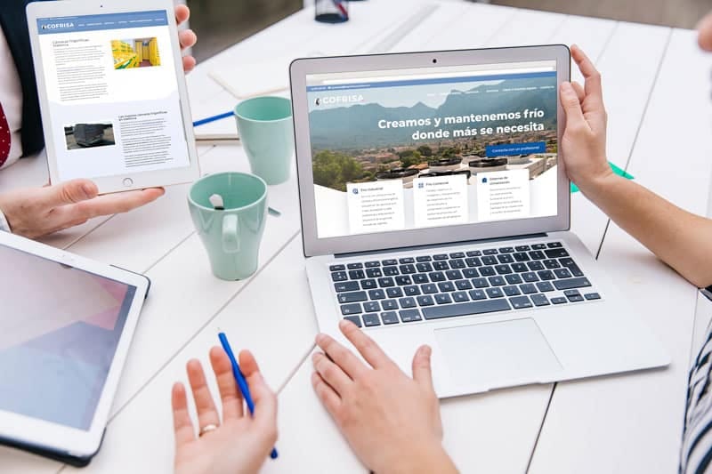 Cofrisa — Diseño web (2)