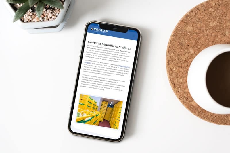 Cofrisa — Diseño web (3)