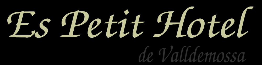 Es Petit Hotel Valldemossa — Diseño web (1)