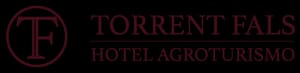 Torrent Fals — Diseño web (1)