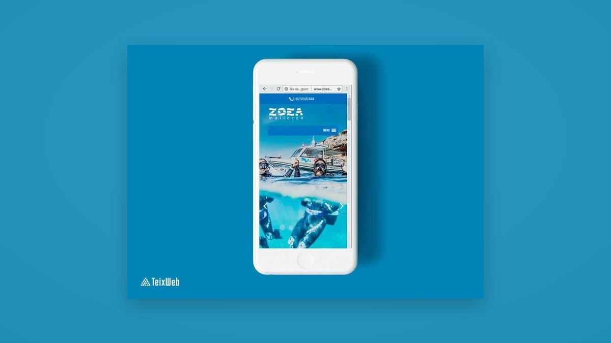 ZOEA — Diseño web