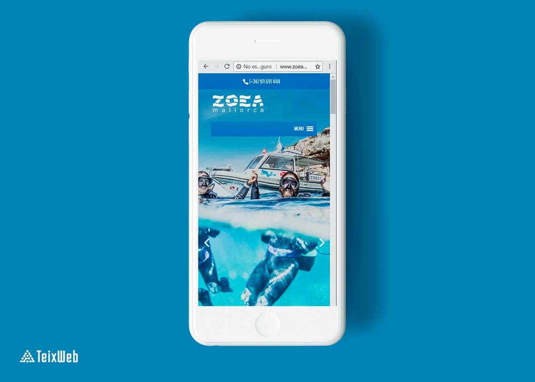 ZOEA — Diseño web (2)